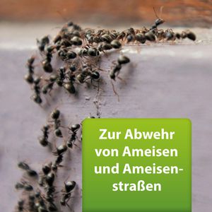 Produktbild für Insektenspray ARDAP Repell Ameisenspray