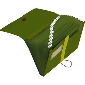 Fächermappe Herlitz 11411253 easy orga to go green