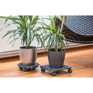 Produktbild für Pflanzenroller Metafranc WU0825300, für innen