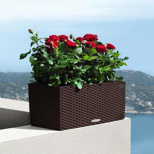 Produktbild für Blumenkasten Lechuza BALCONERA Cottage 50, mokka