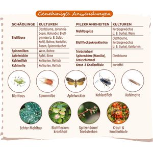 Produktbild für Grundstoff Solabiol Urtica, Konzentrat