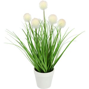 Kunstpflanze I.GE.A. Knopfgras