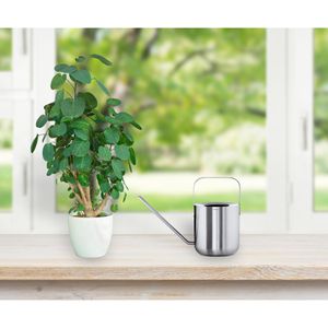 Produktbild für Gießkanne Blomus Planto 65405, silber