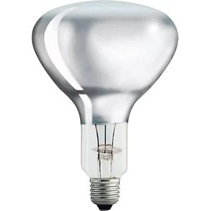 Infrarotlampe Philips InfraRed BR125 IR, E27
