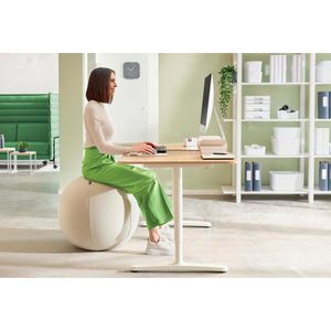 Produktbild für Sitzball Leitz Ergo Active, Anti-Wegroll-Funktion, bis 150 kg