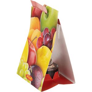 Produktbild für Fruchtfliegenfalle Aeroxon Monitor-Leimfalle