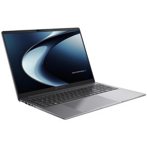 Produktbild für Laptop Asus ExpertBook P3 PM3606CKA-MB0194X