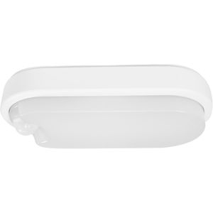 Kellerlampe