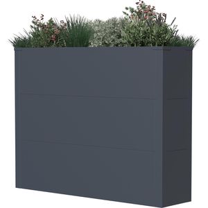 Pflanzkasten Westmann Talus XL anthrazit