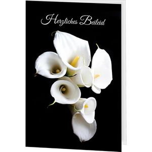 Produktbild für Trauerkarten LUMA 1402