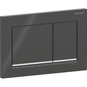 Produktbild für Betätigungsplatte Geberit Omega20, aus Kunststoff, für WC