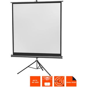 Produktbild für Beamer-Leinwand Celexon Economy