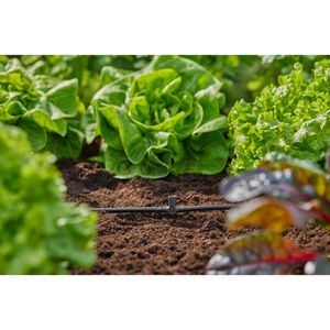 Produktbild für Micro-Drip-System Gardena T-Stück für Sprühdüsen, 13216-20