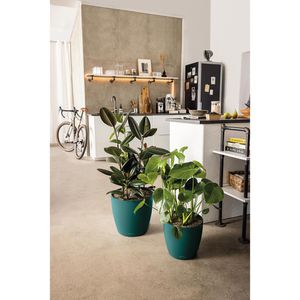 Produktbild für Übertopf Lechuza-DECO 14, pinie, Ø 15 x 14 cm