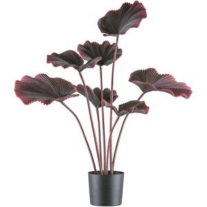Creativ-green Kunstpflanze Strahlenpalme dunkelrot, Kunstpalme im Topf mit 7 Palmenwedeln, Höhe 100 cm