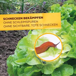 Produktbild für Schneckenkorn Solabiol Bio, extrem regenfest