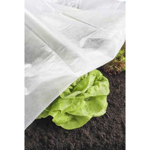 Produktbild für Wintervlies Böttcher-AG 95090, weiß, 1,5 x 5 m