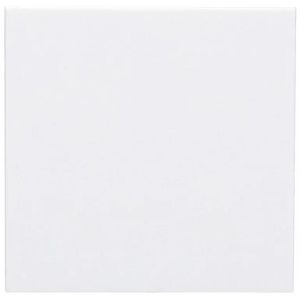 Schalter-Wippe Gira System 55, 329603