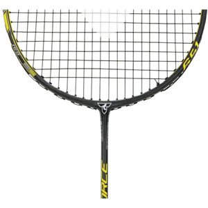 Produktbild für Badmintonschläger Talbot-Torro Isoforce 651