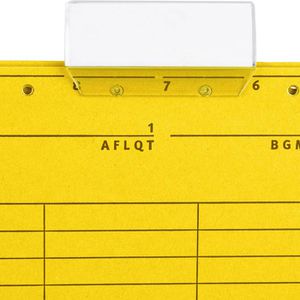 Produktbild für Hängetaschen Falken 80002660, UniReg, A4