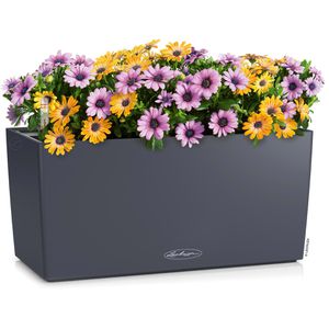 Produktbild für Blumenkasten Lechuza BALCONERA Color 40, grau