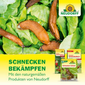 Produktbild für Schneckenkorn Neudorff Ferramol compact, extrem regenfest