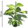 Produktbild in Größe 120