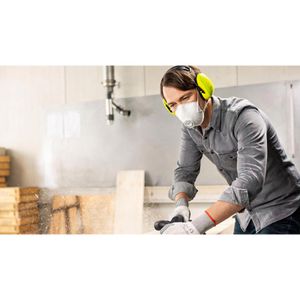 Produktbild für Atemschutzmaske Moldex Klassiker 2555