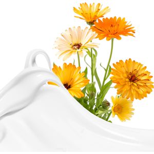 Produktbild für Hautcreme Elina-med Pflegend Ringelblume