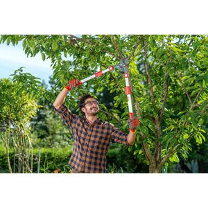 Produktbild für Astschere Wolf-Garten Power Cut RR 900 T Premium