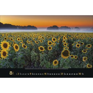 Produktbild für Bildkalender Korsch Colourful Seasons, Jahr 2026