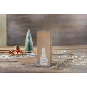 Produktbild für Weihnachtskarte Sigel DS078 Polar bear with star