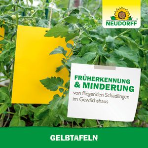 Produktbild für Gelbtafeln Neudorff 00945, 25 x 32 cm, zum Hängen
