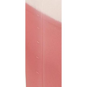 Produktbild für Badreiniger CLEANandCLEVER Professional Line