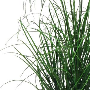 Produktbild für Kunstpflanze Creativ-green Grasbusch