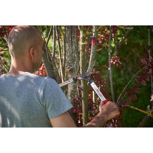 Produktbild für Astschere FELCO 211-50