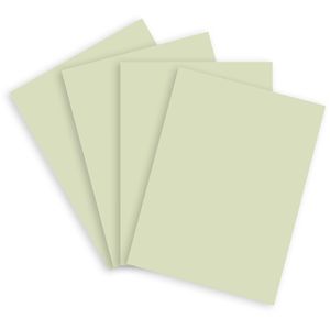 Produktbild für Kopierpapier Papyrus Rainbow 88042585