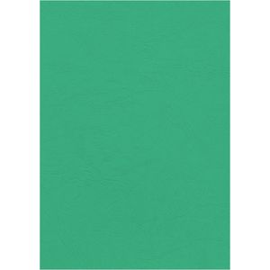 Deckblätter Fellowes 53819 Delta, A4