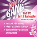 Zusatzbild WC-Duftspüler Cillit-Bang 6 in 1 Lilaspüler Wilde