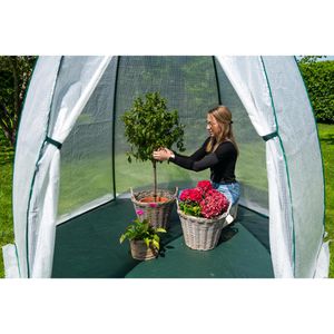 Produktbild für Gewächshaus Westmann Avocado, 6,25 m² Fläche