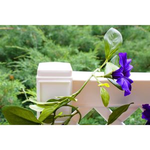 Produktbild für Rankgitter KHW Czardas 47701, weiß