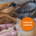 Produktbild in Größe 120