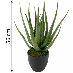 Produktbild für Kunstpflanze I.GE.A. Aloe Vera