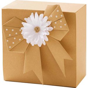 Produktbild für Kraftpapier Folia 691/5/98, braun, A5