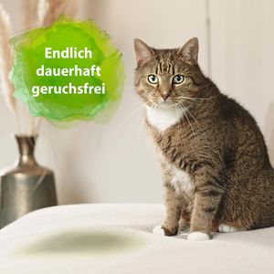 Produktbild für Enzymreiniger Bactador Katzentoiletten Geruchsentferner