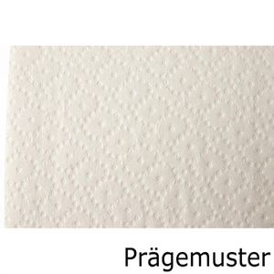 Produktbild für Toilettenpapier Satino HiCycle, 319330, JT2