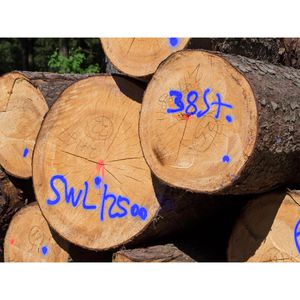 Produktbild für Markierungsspray Stanger Forst-Markierer, blau