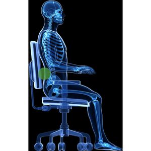 Produktbild für Rückenstütze DESQ 1333