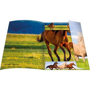 Produktbild für Zeichenmappe RNK 45353, Free Horses, A3