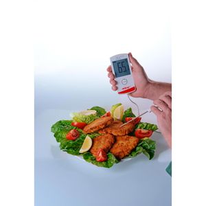 Produktbild für Einstichthermometer ebro 1340-5150, TTX 200, digital